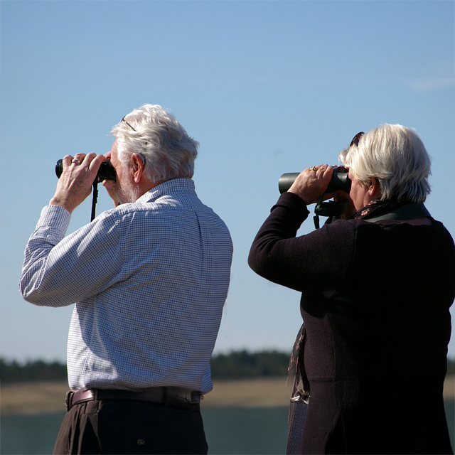 Couple birdwatching